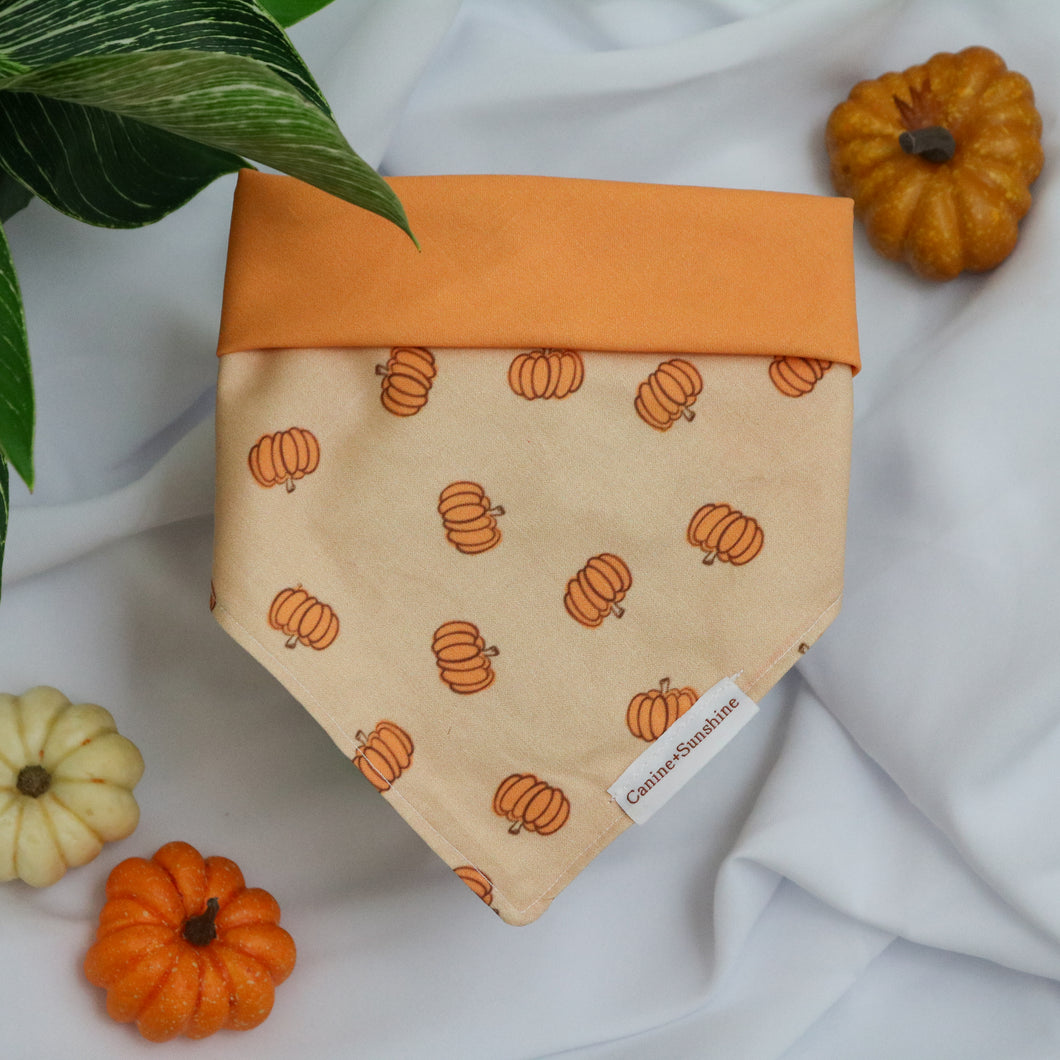 Pup-kin Patch